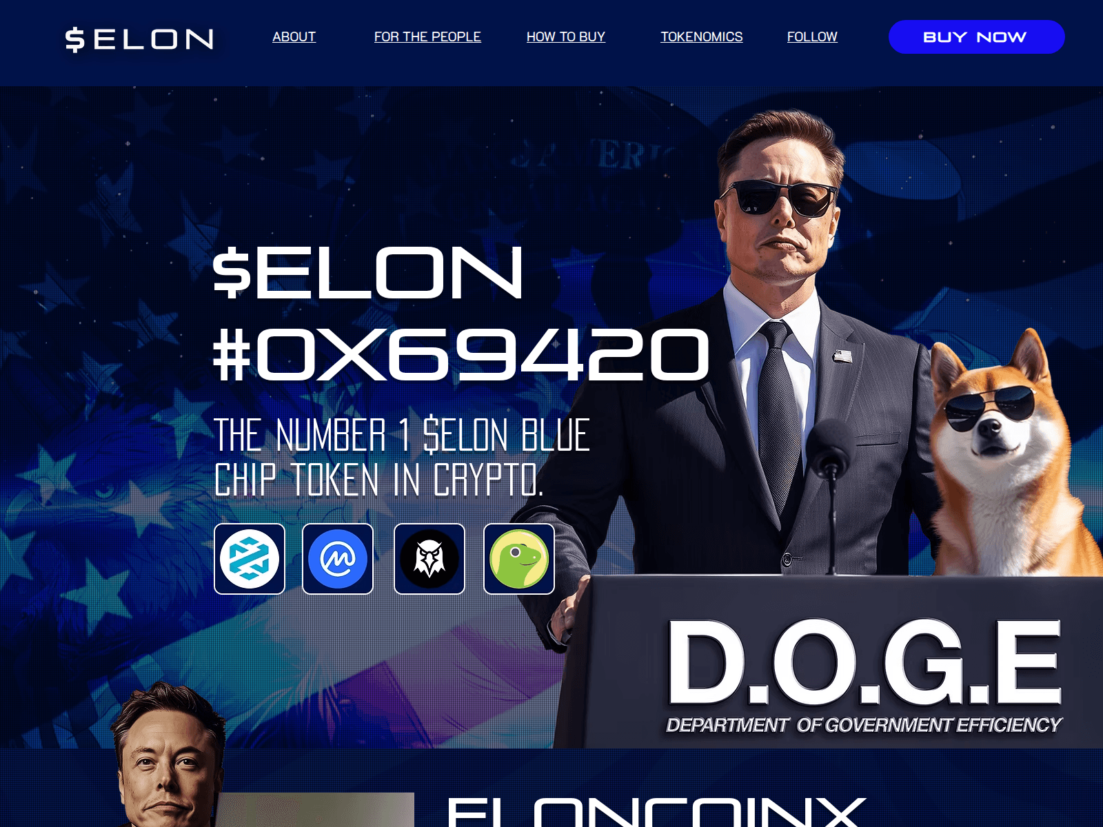 Screenshot of eloncoinx.com