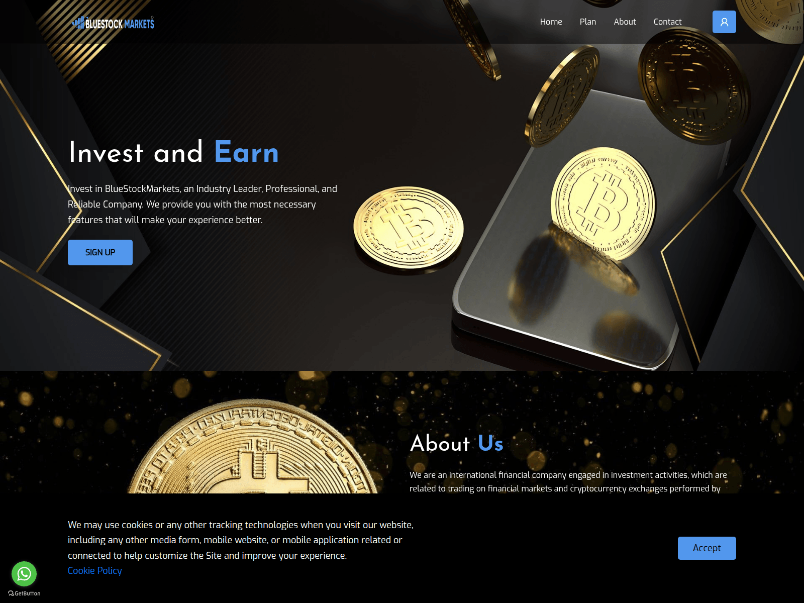 Screenshot of bluestockmarkets.com