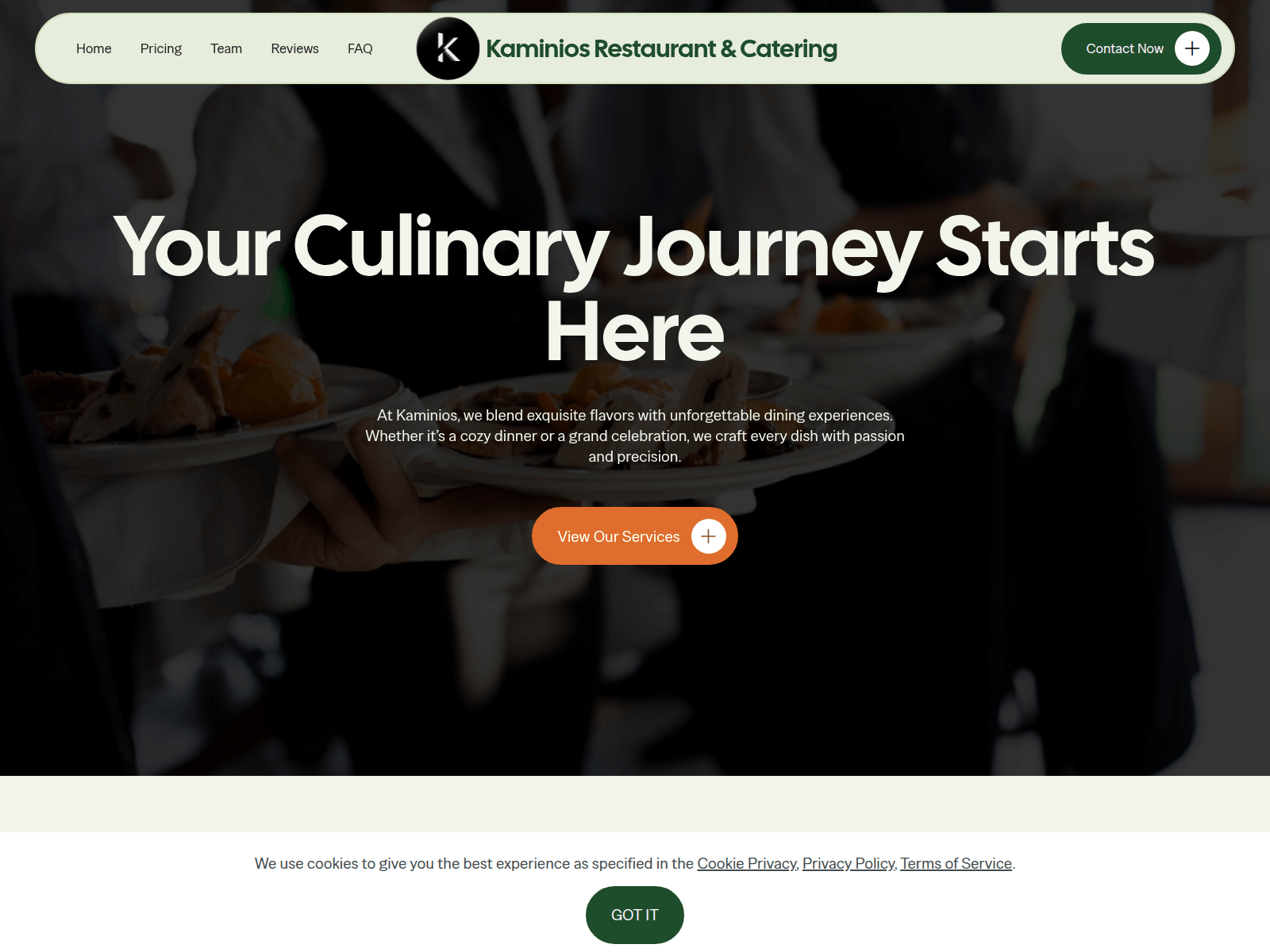 Screenshot of appkaminio.com