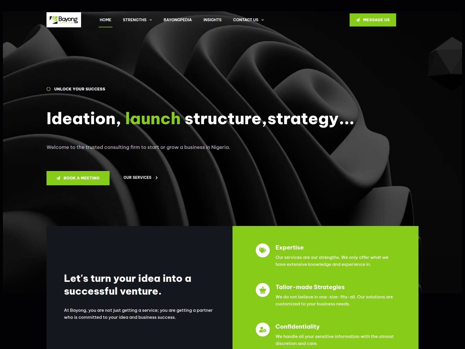 Screenshot of bayongconsulting.com