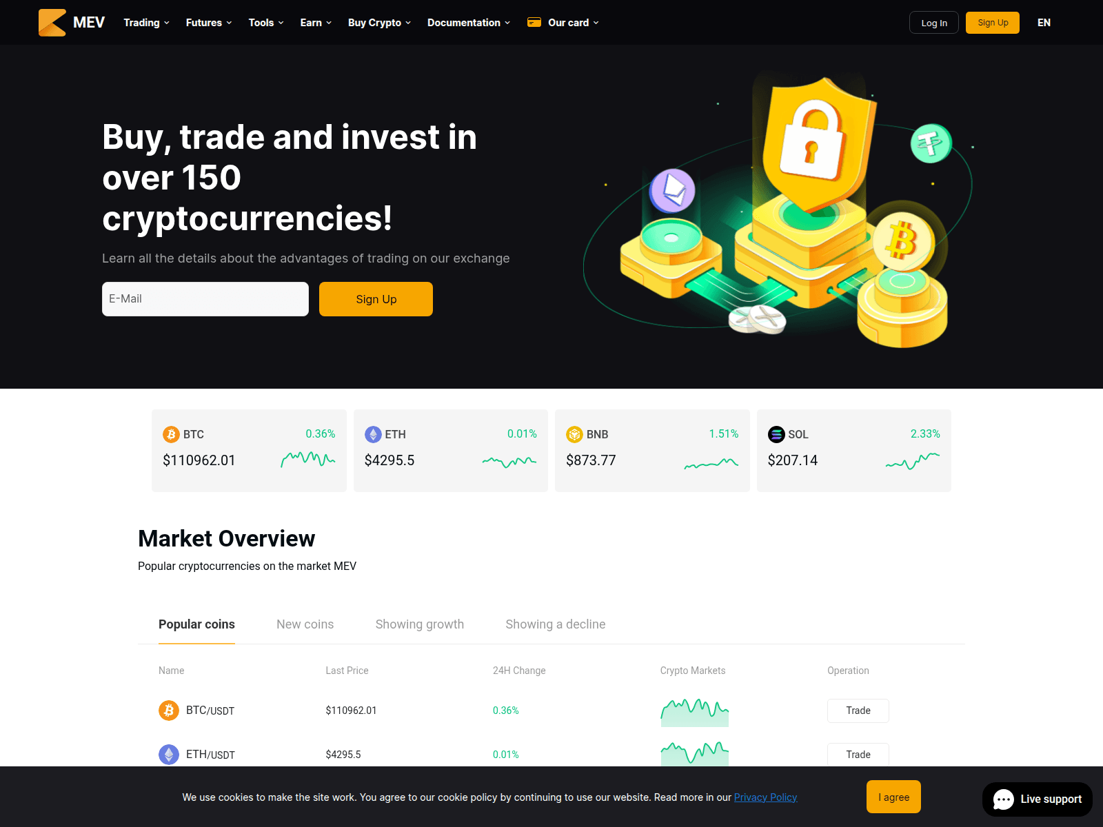 Screenshot of central-mev.com