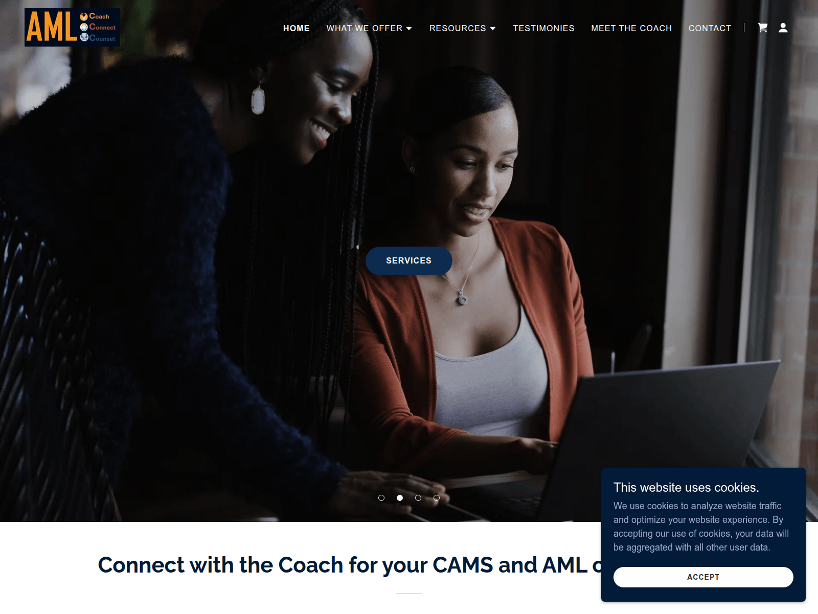 Screenshot of amlccc.com