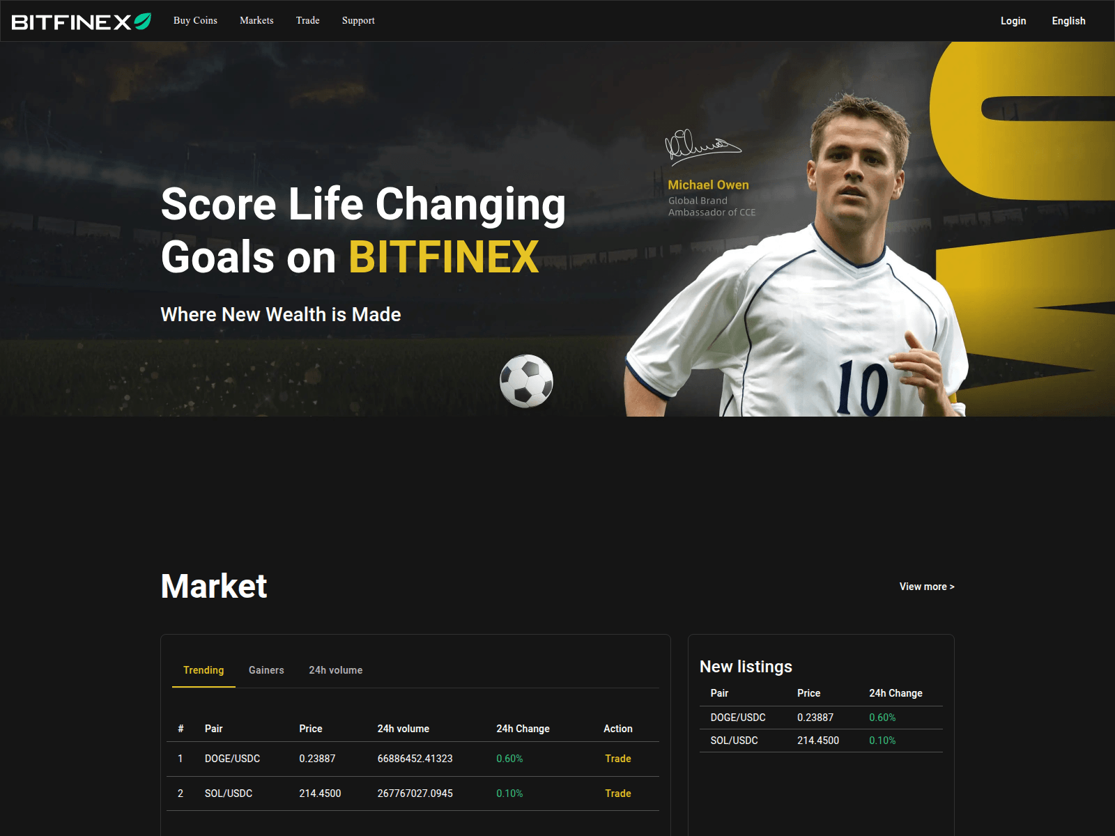 Screenshot of www.bitfinexes.com