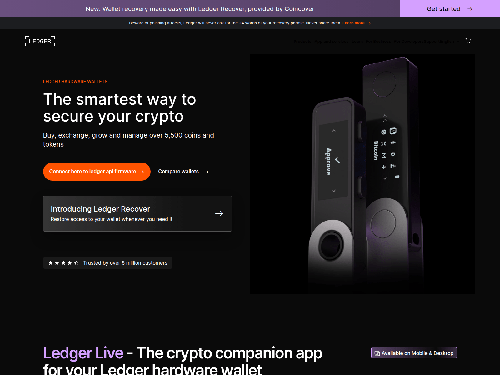 Forensic screenshot of ledgernets.com