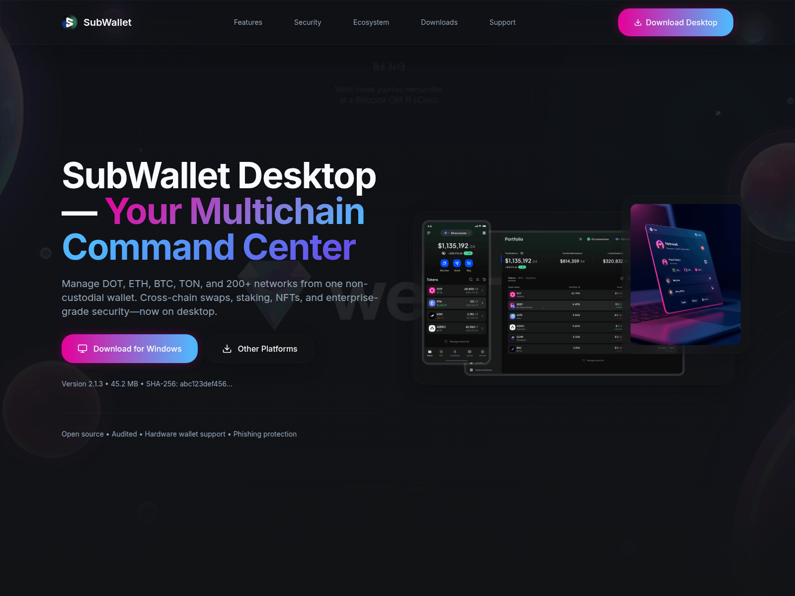 Screenshot of www.subwalletdesktop.com