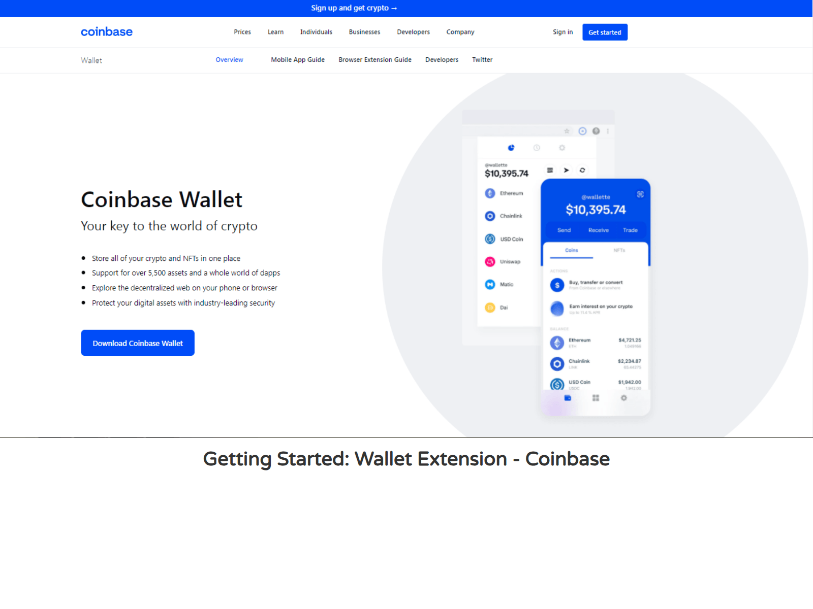 Screenshot of conebesgxtensione.webflow.io
