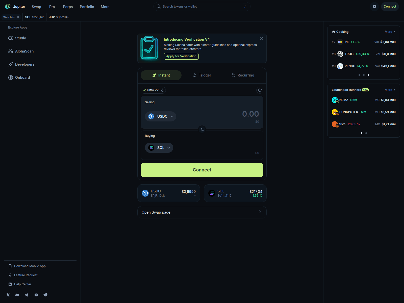 Screenshot of biggestbrodontflag.com