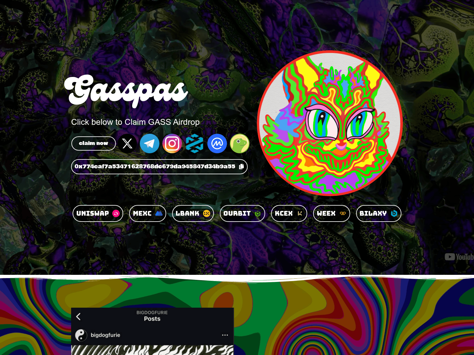 Screenshot of gasspasclaim.online
