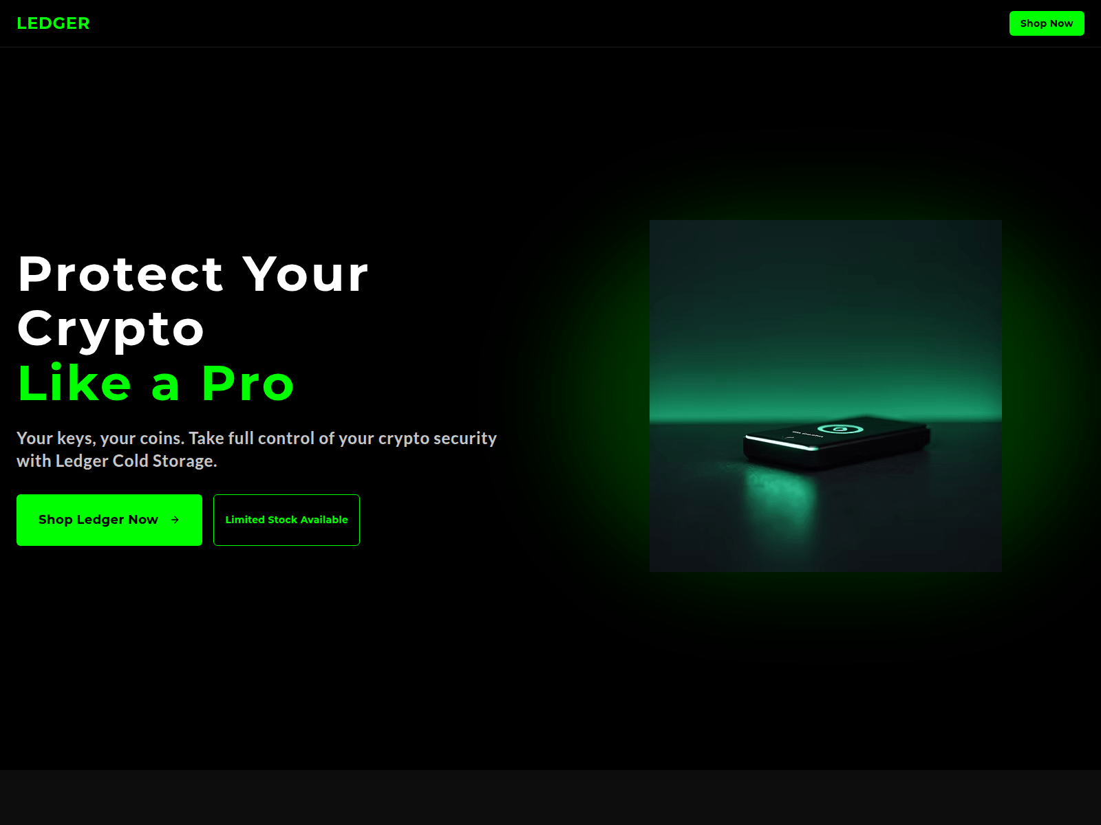 Screenshot of ledgersecured.com