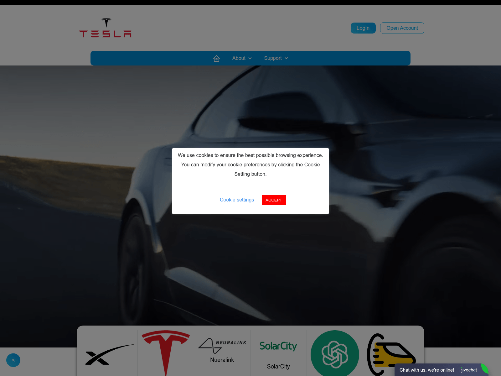 Screenshot of www.spacexstockassets.com