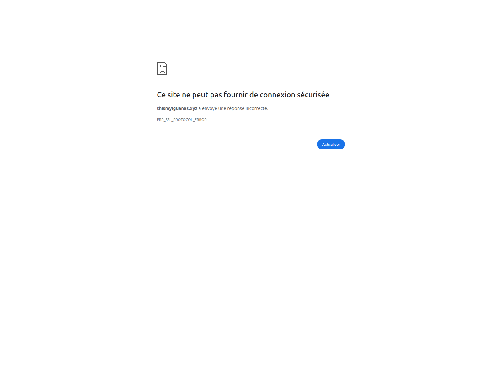 Screenshot of thismyiguanas.xyz
