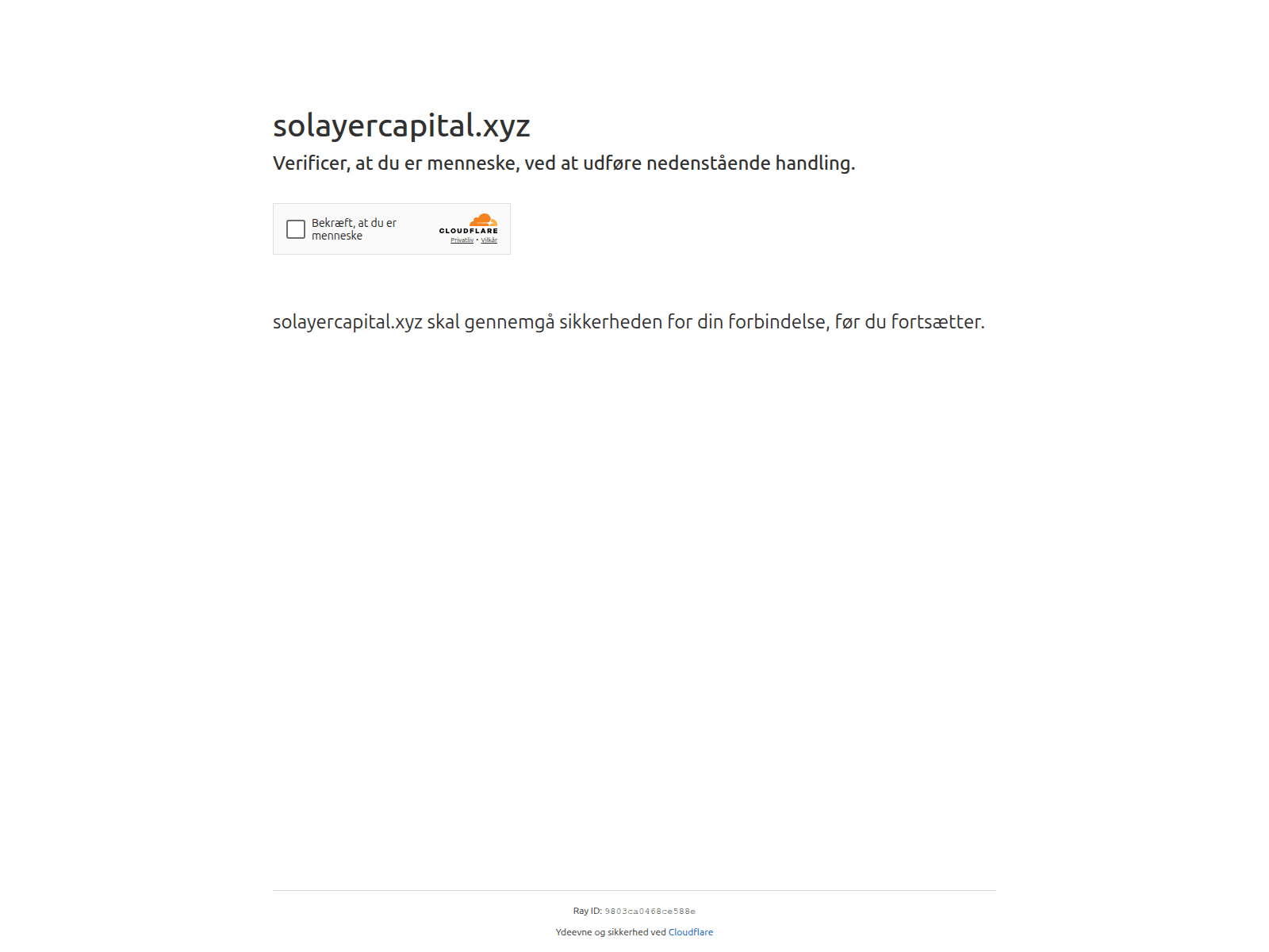 Screenshot of solayercapital.xyz