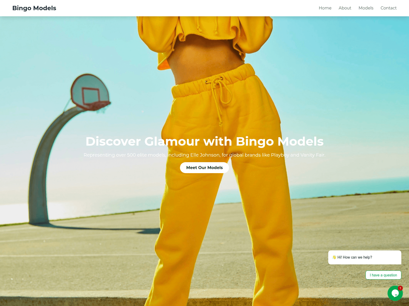 Screenshot of bingomodelagency.com