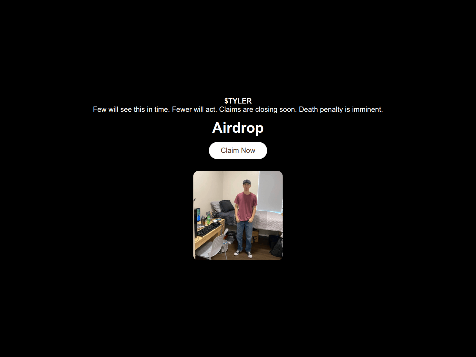 Screenshot of tyler-robinson.xyz