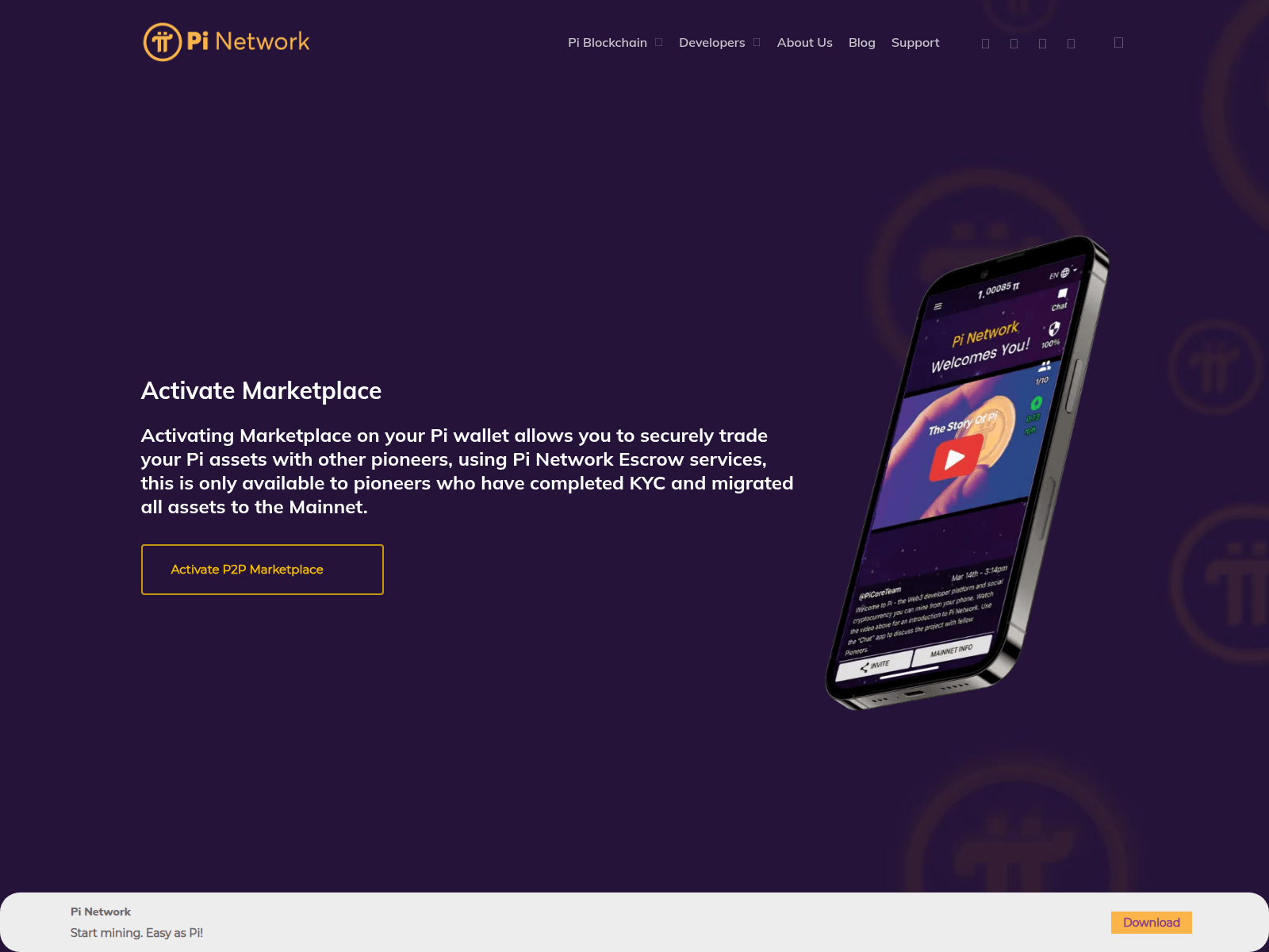 Screenshot of p2p-enabled.com