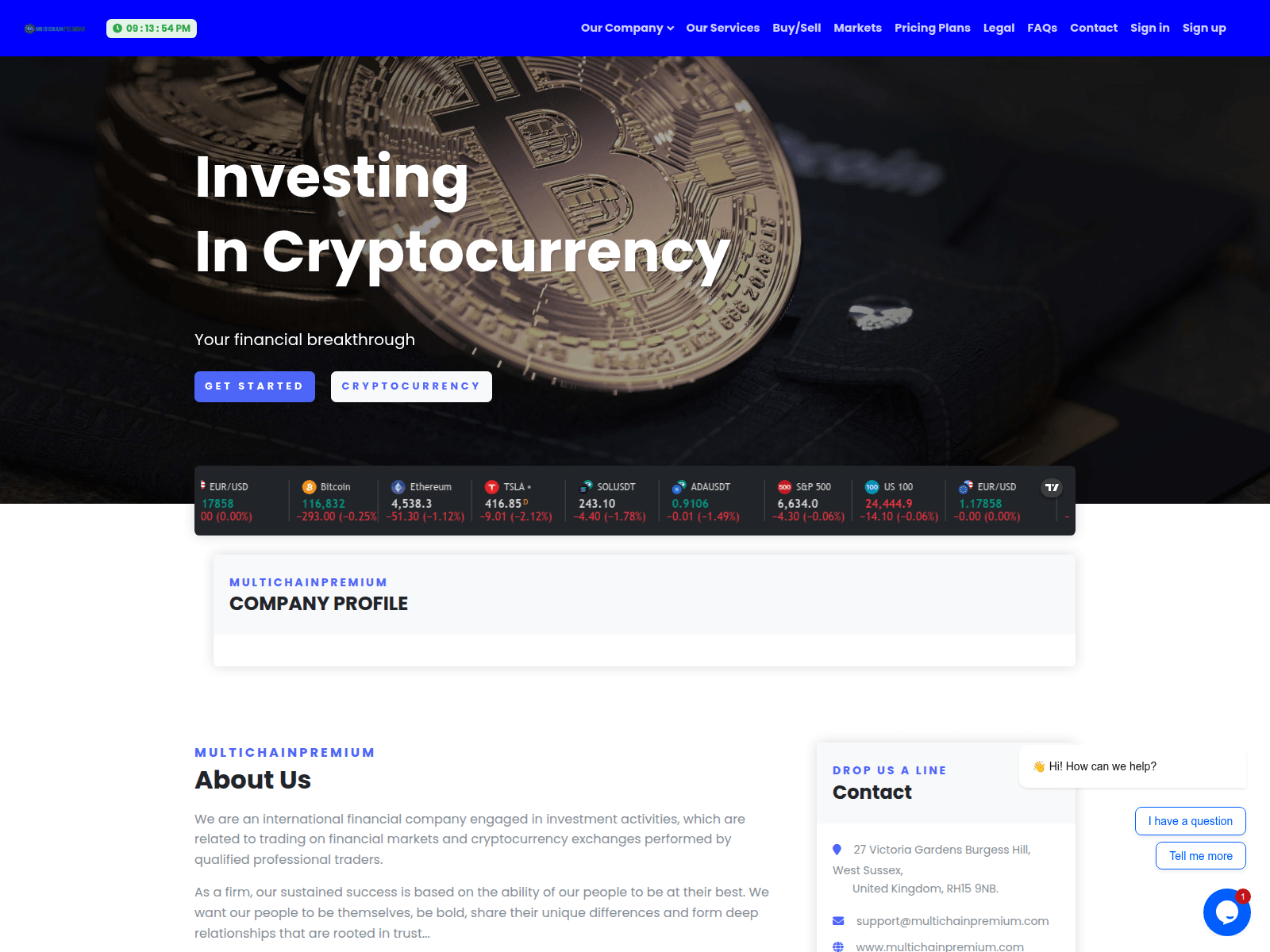 Screenshot of multichainpremium.com