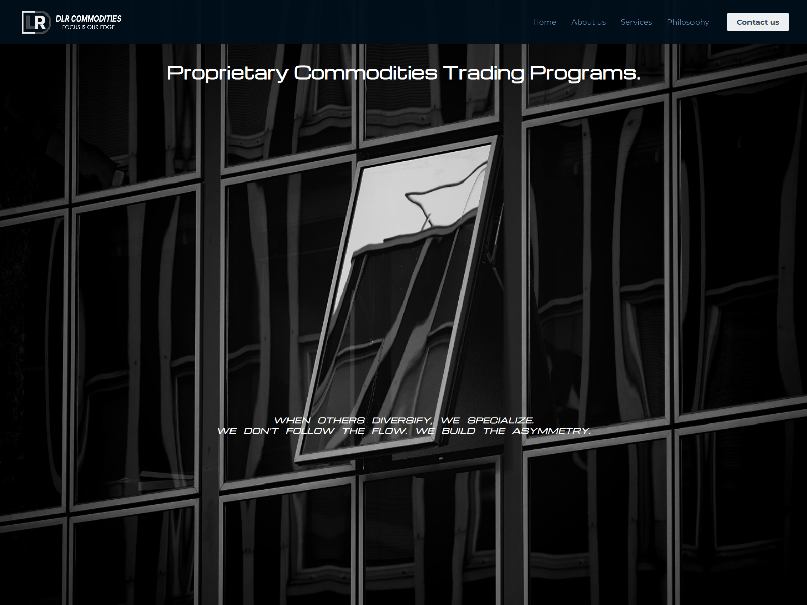Screenshot of dlrcommodities.com