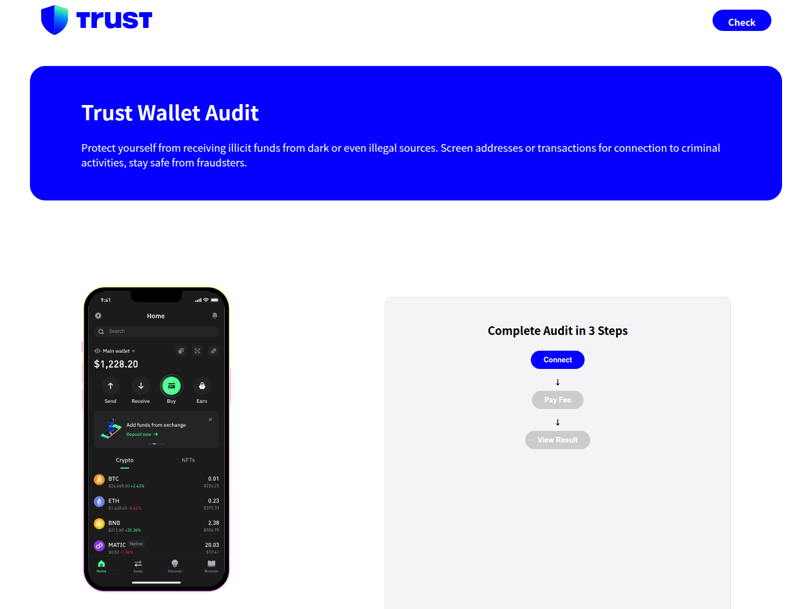 Forensic screenshot of usdtaudit.app