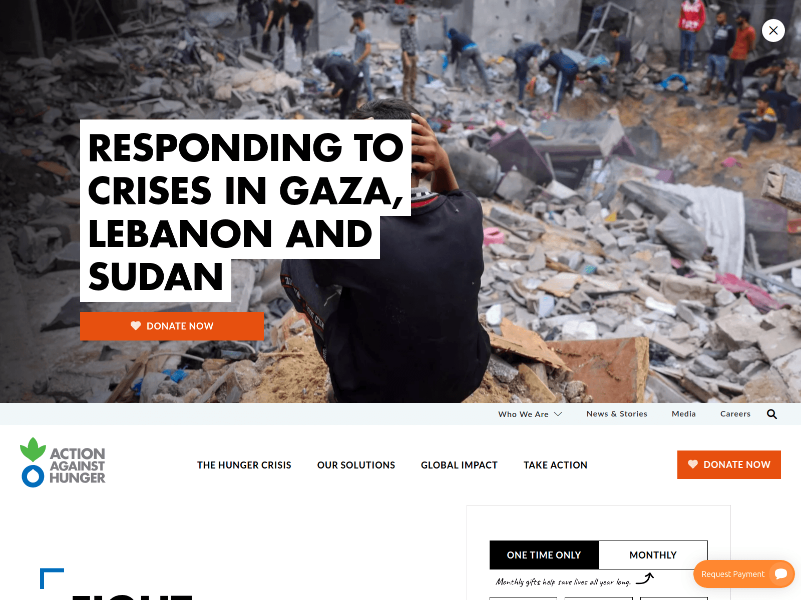 Screenshot of actiontosavethechildren.com