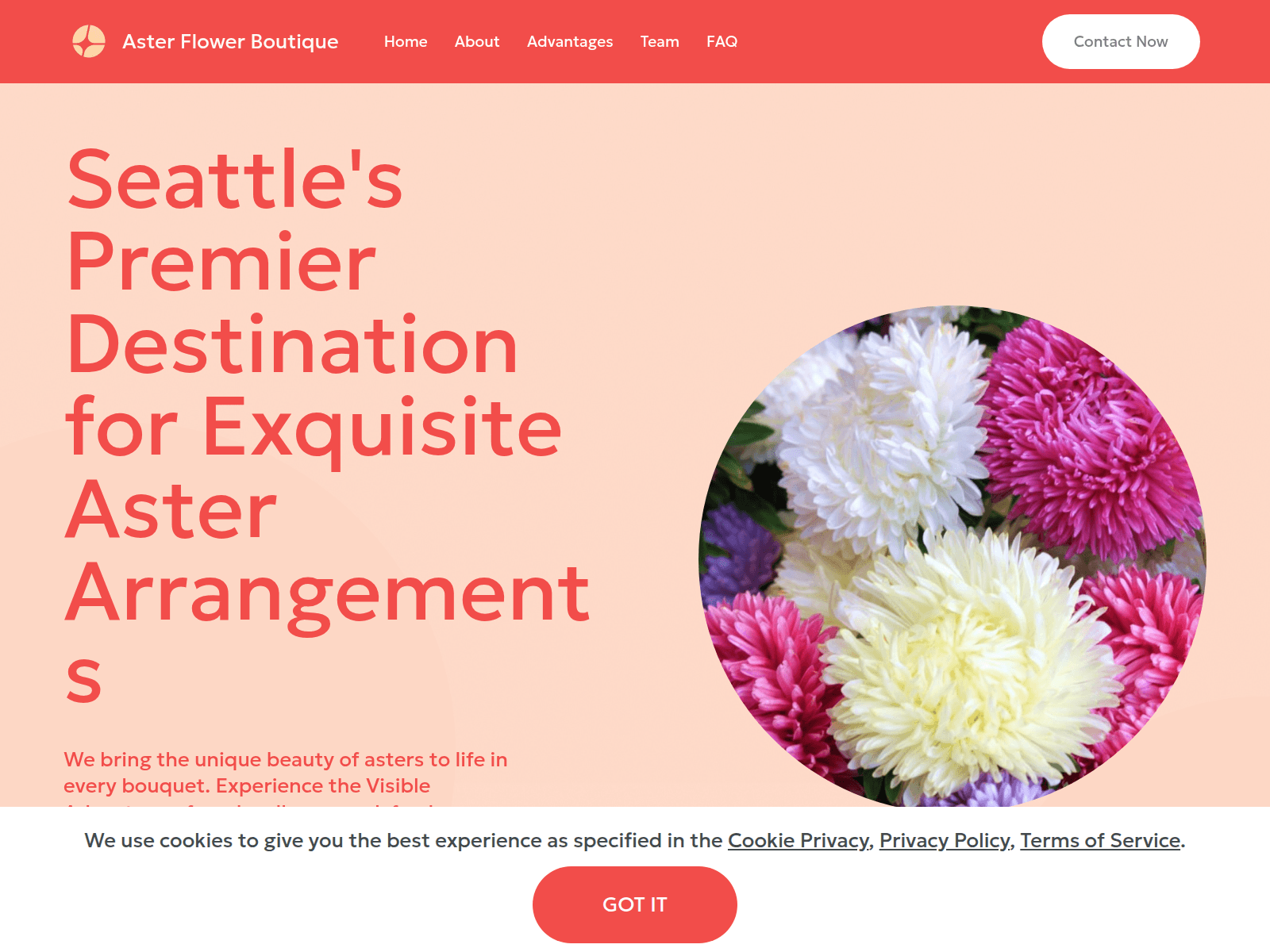 Screenshot of asters.de.com