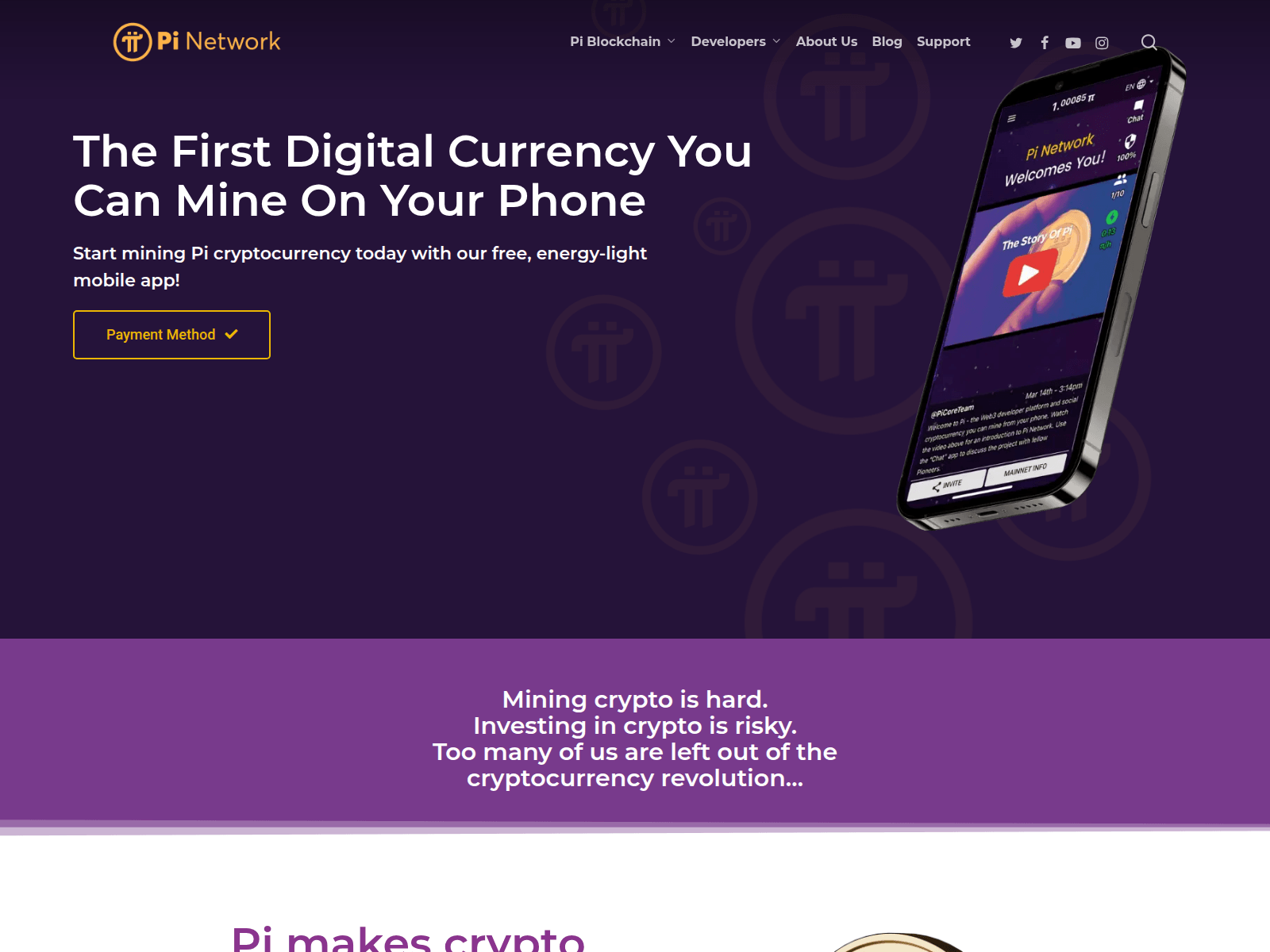 Forensic screenshot of pinetexchange.icu