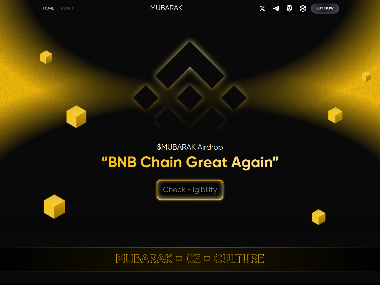 Screenshot of mubarakctos.com