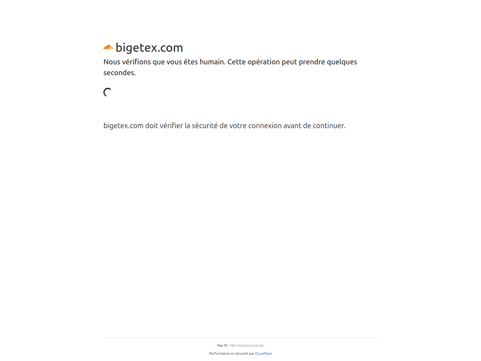 Screenshot of bigetex.com