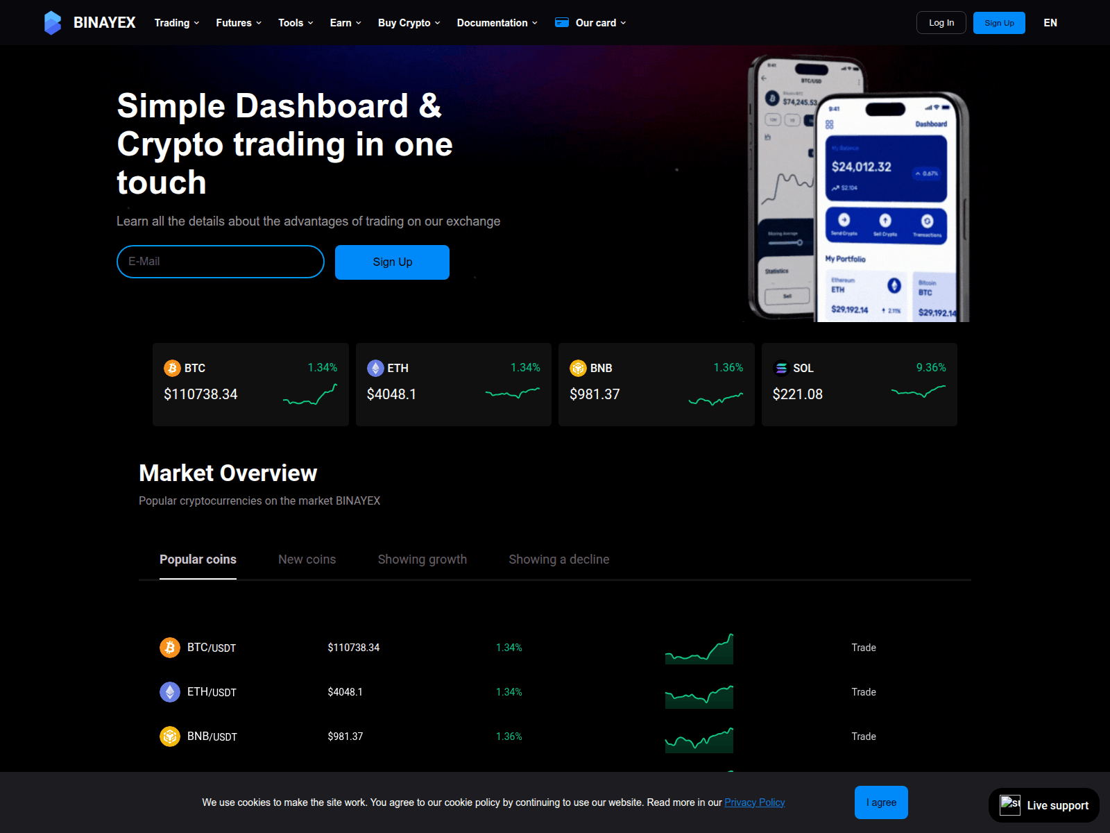 Screenshot of binayex.com