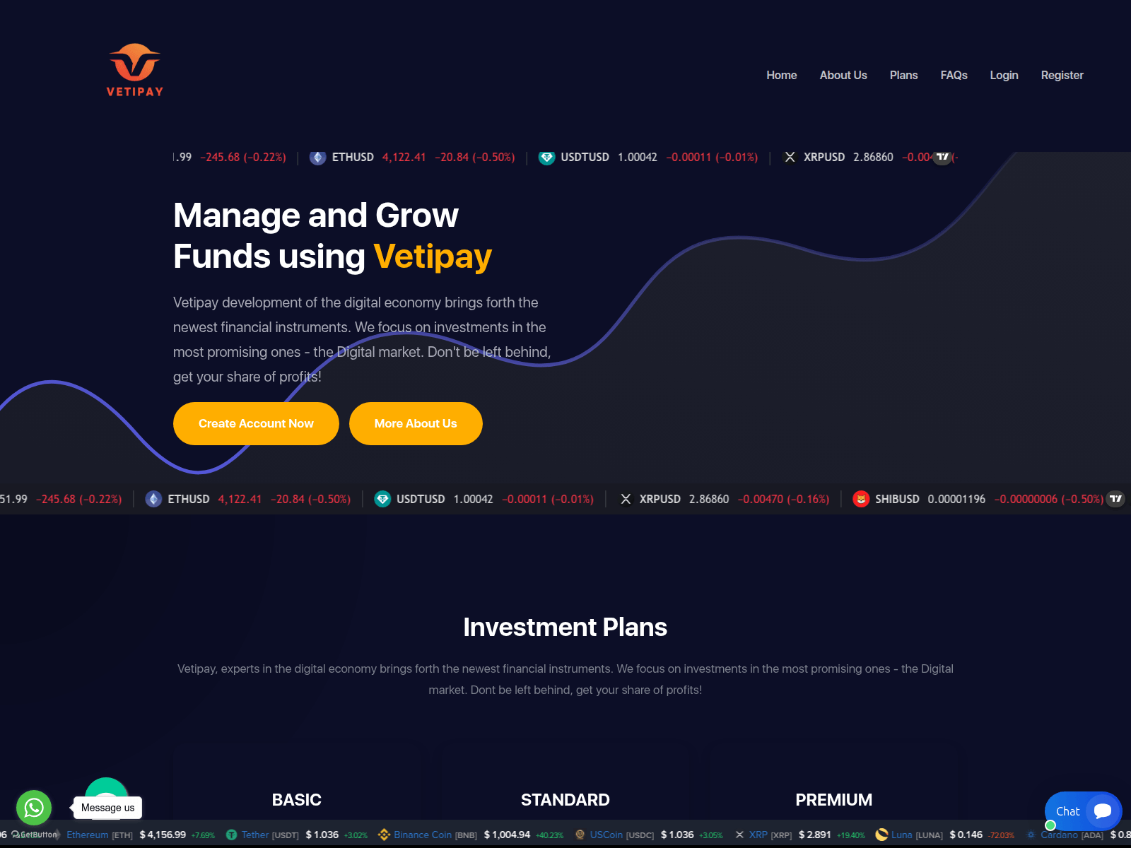 Screenshot of vetipay.net