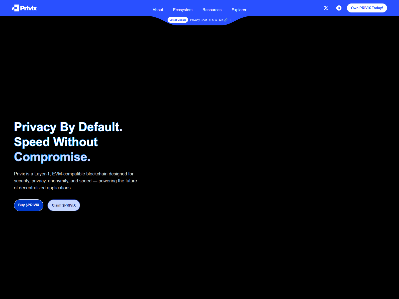 Screenshot of privix-co.puranet.pro