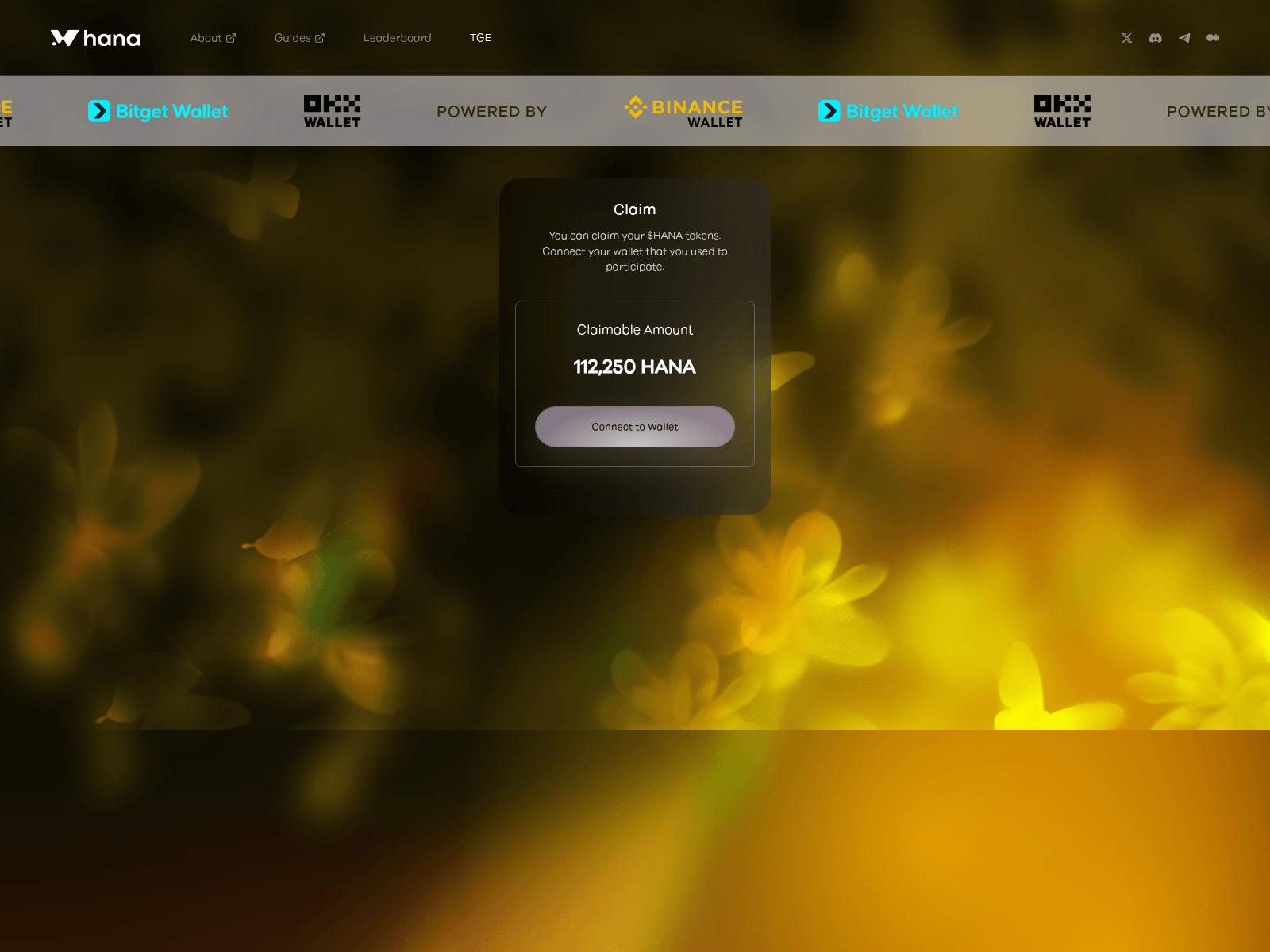 Screenshot of checker-hananetwork.com