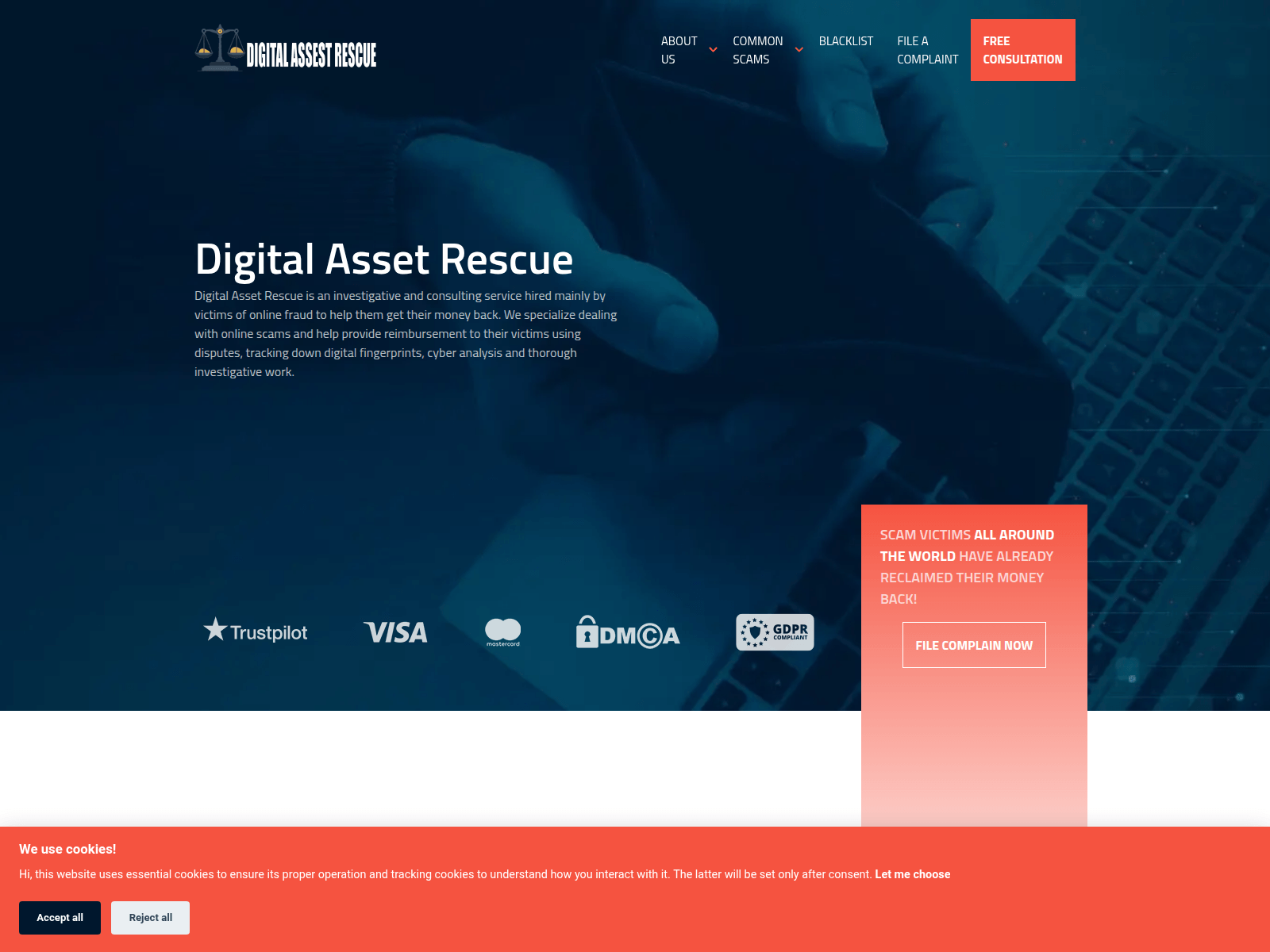 Screenshot of digitalassestrescue.com