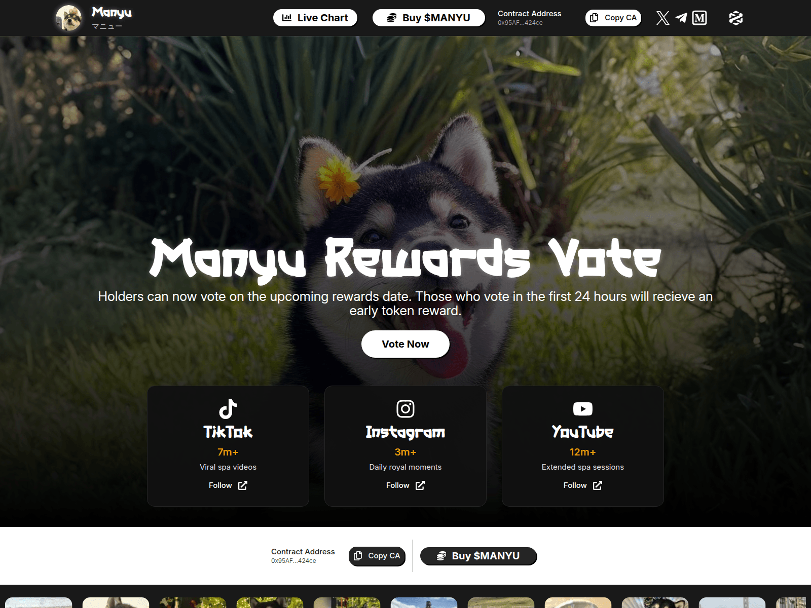 Screenshot of proposal-manyushiba.xyz