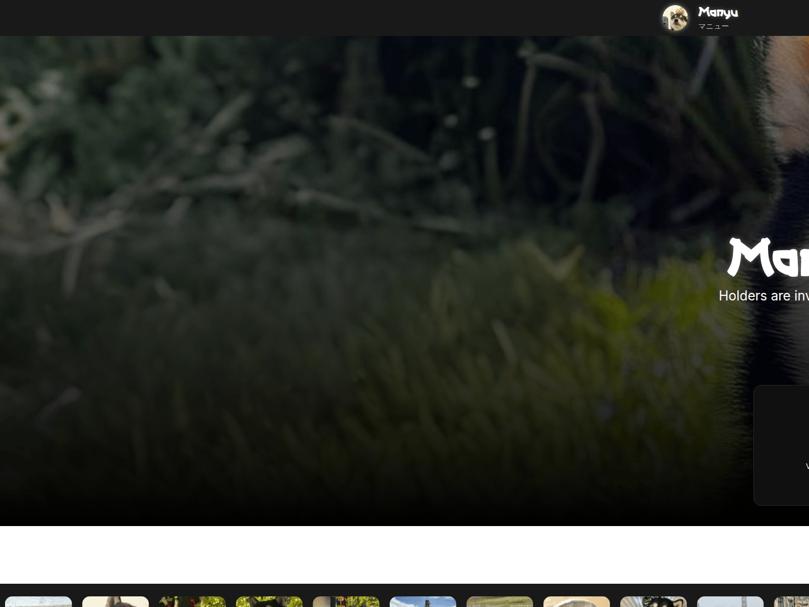 Screenshot of vote-manyushib.com