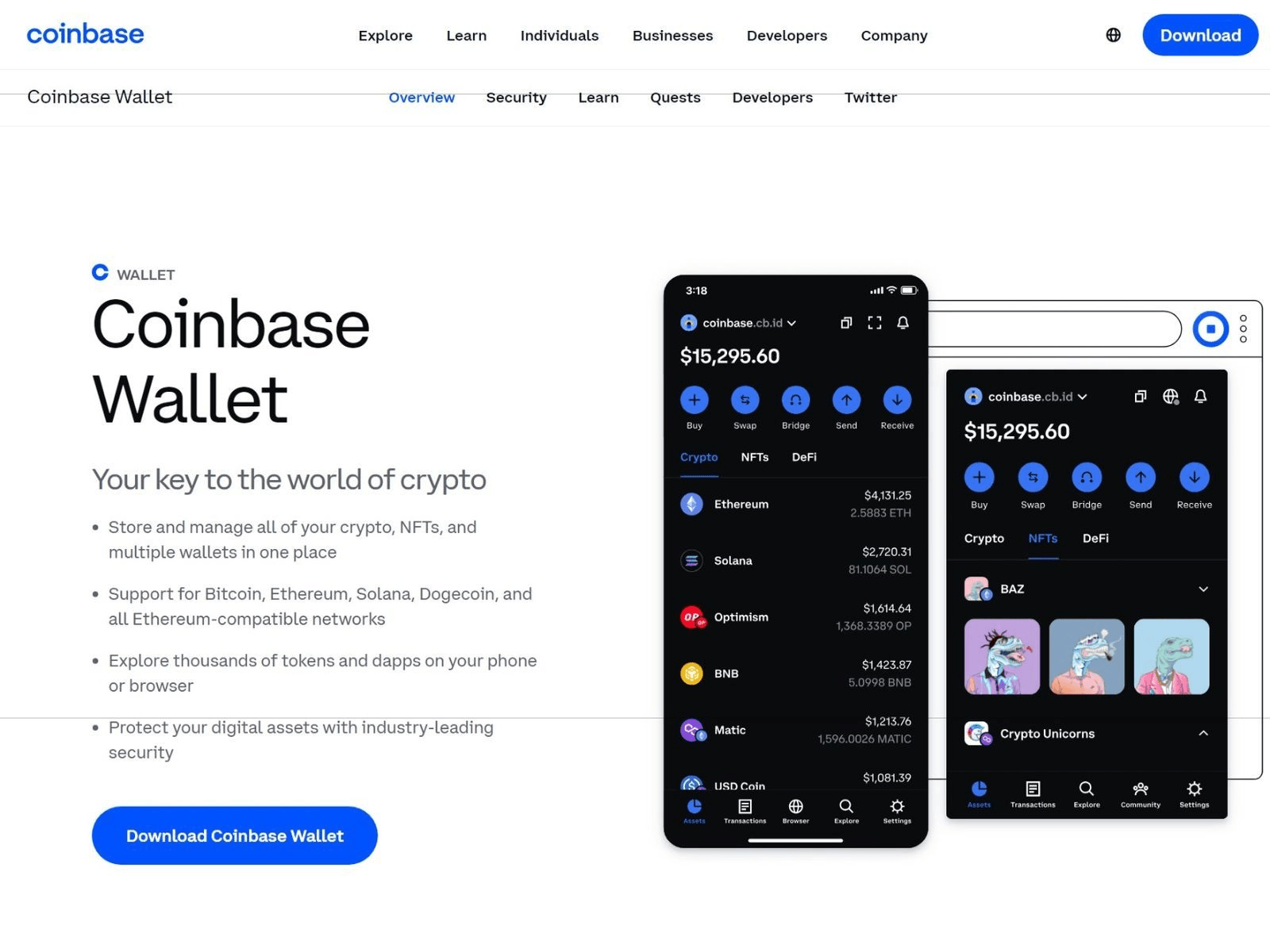 Screenshot of coinbase-canada-login.webflow.io