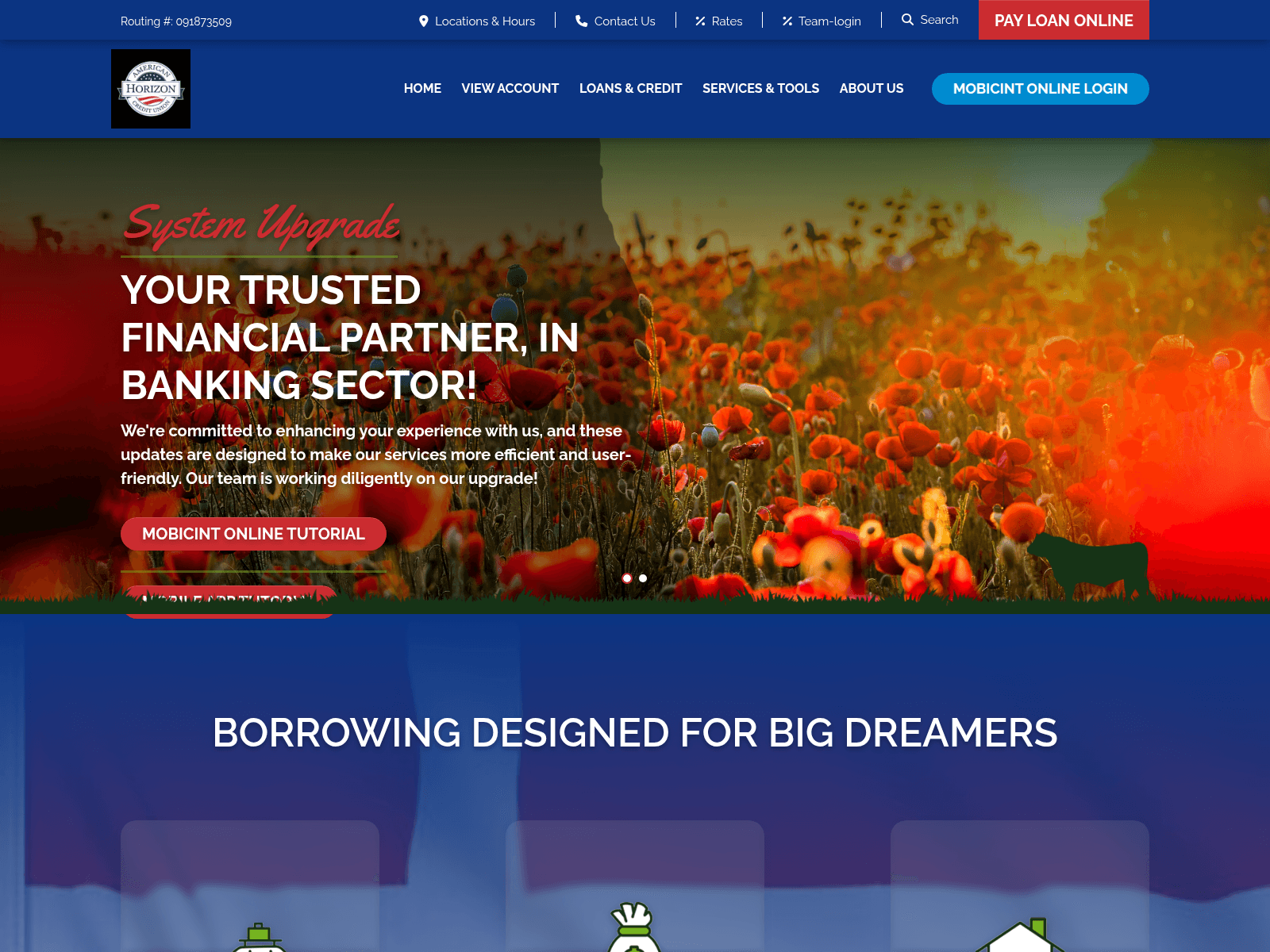 Screenshot of ahcu.online