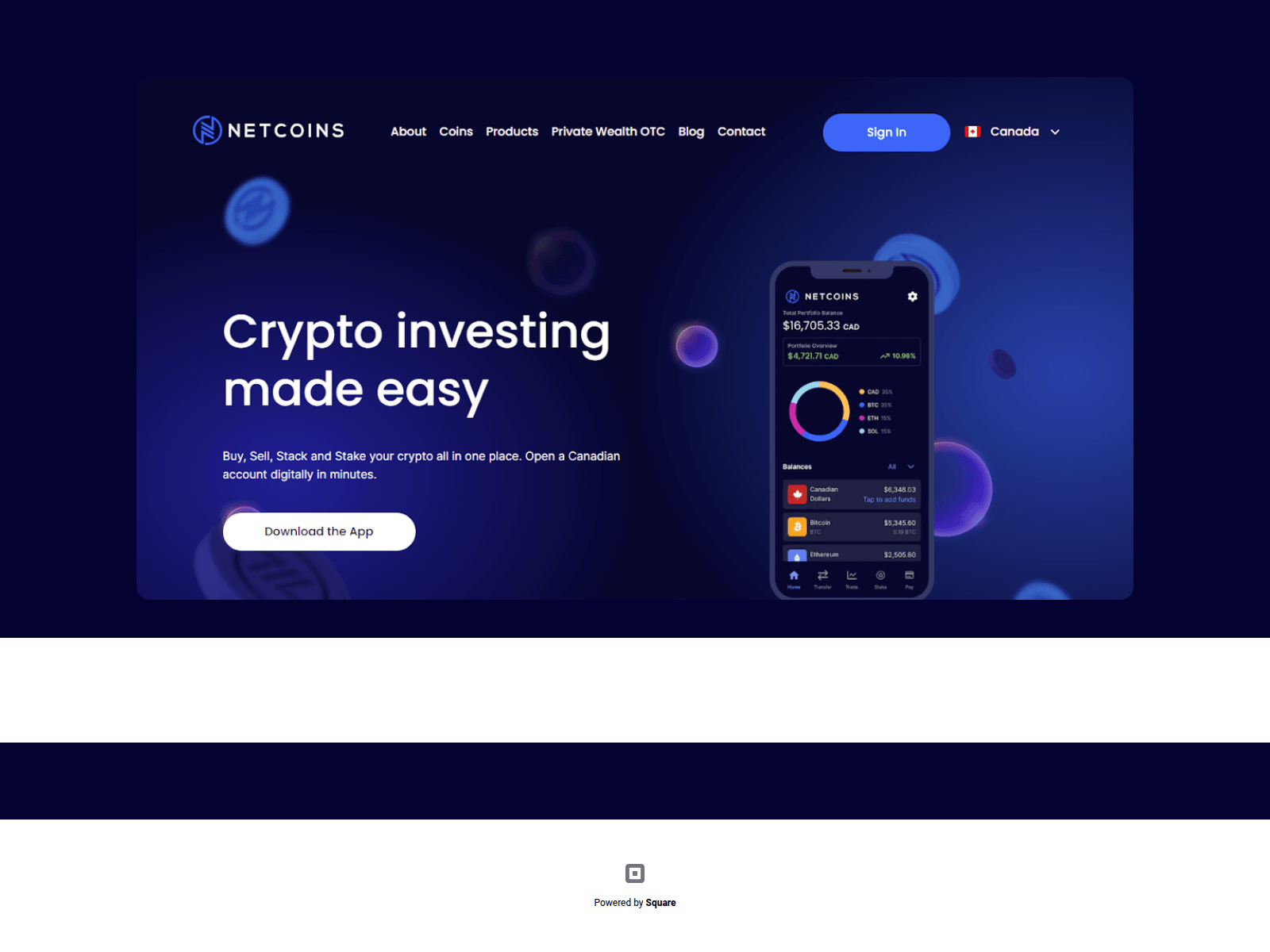 Screenshot of docs-netcoins-app.square.site