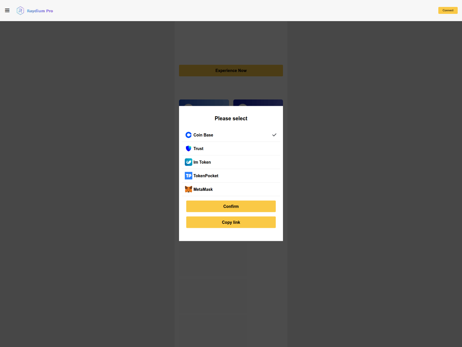 Screenshot of 19845cf7fa864a77.raydiumpro-web.shop