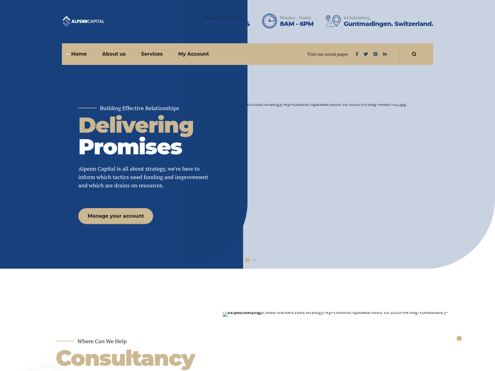 Screenshot of alpenncapital.com.pandoramarketlimited.com