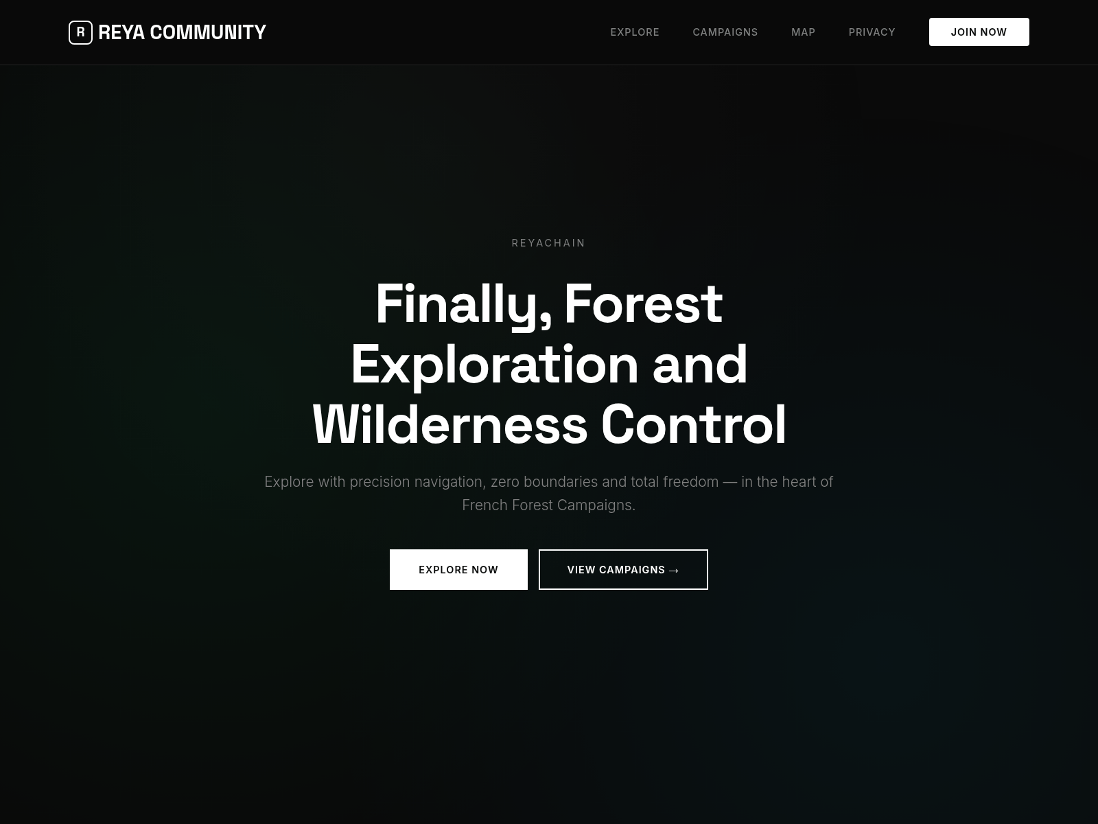 Screenshot of dahsboard-reya.com