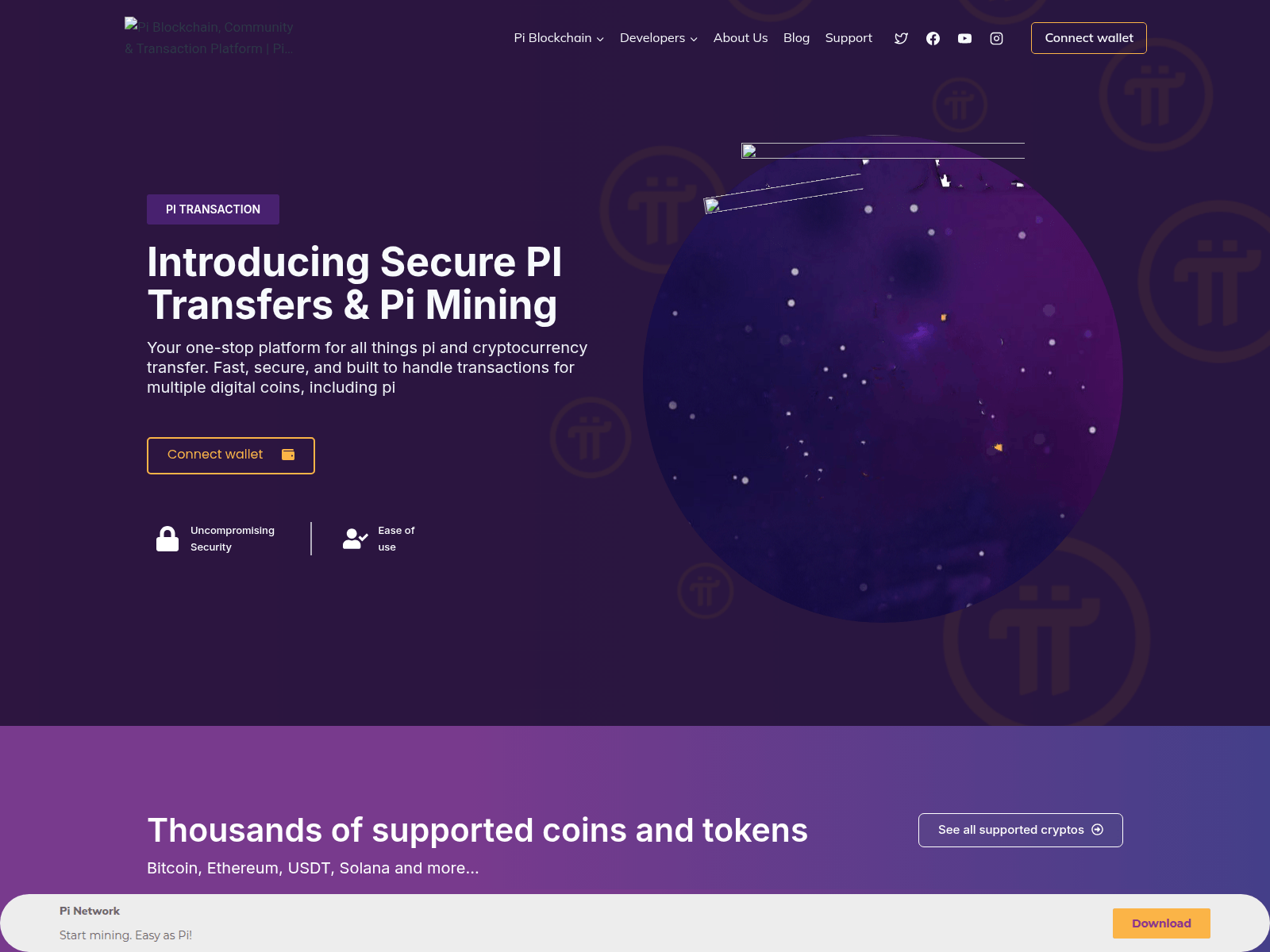 Screenshot of pipaymentnets.com