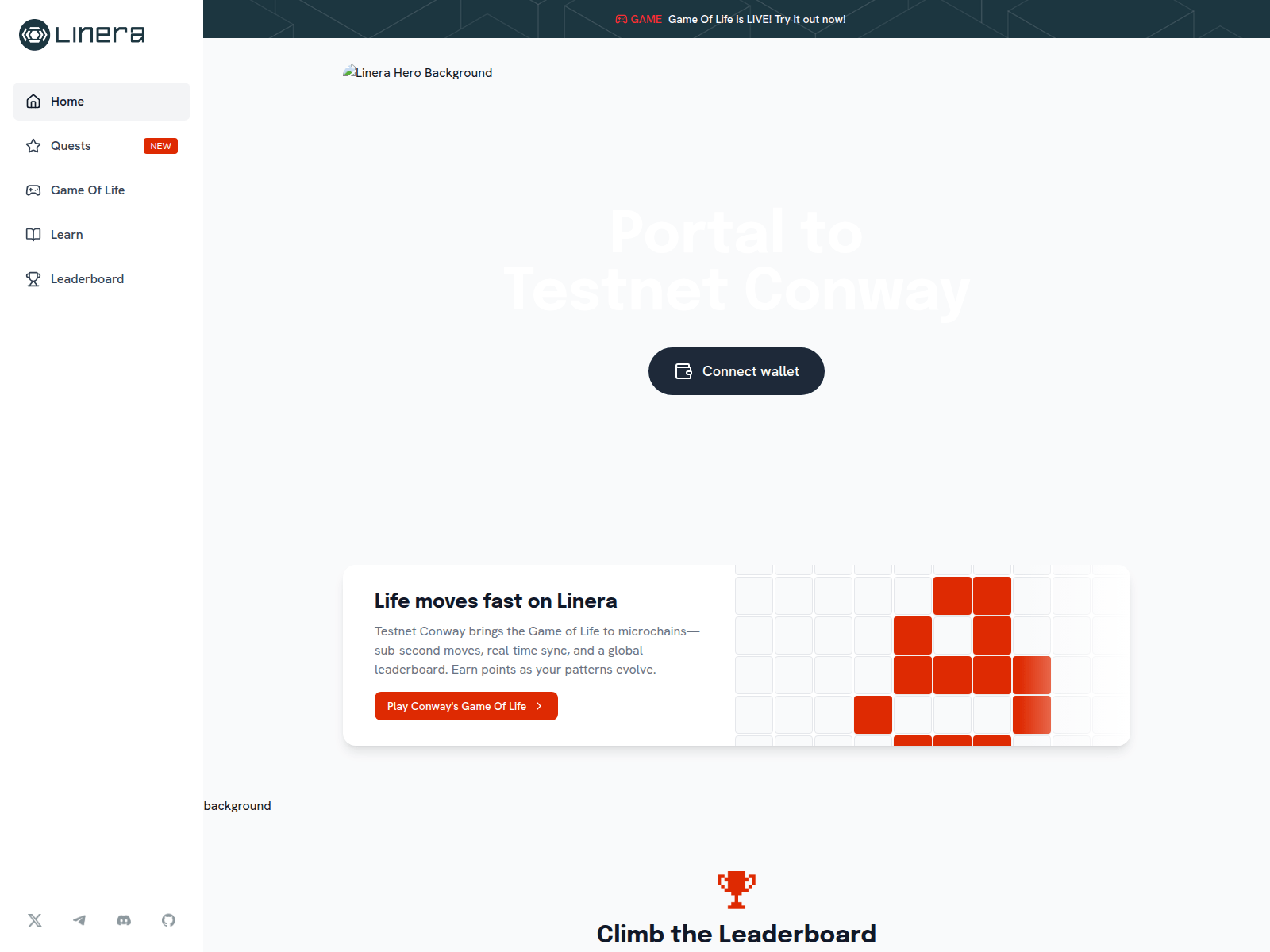 Screenshot of leinera.com