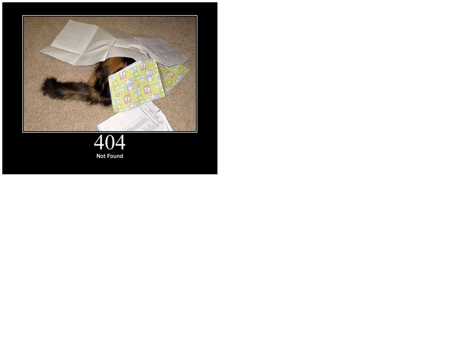 Screenshot of booking.page750651.cfd