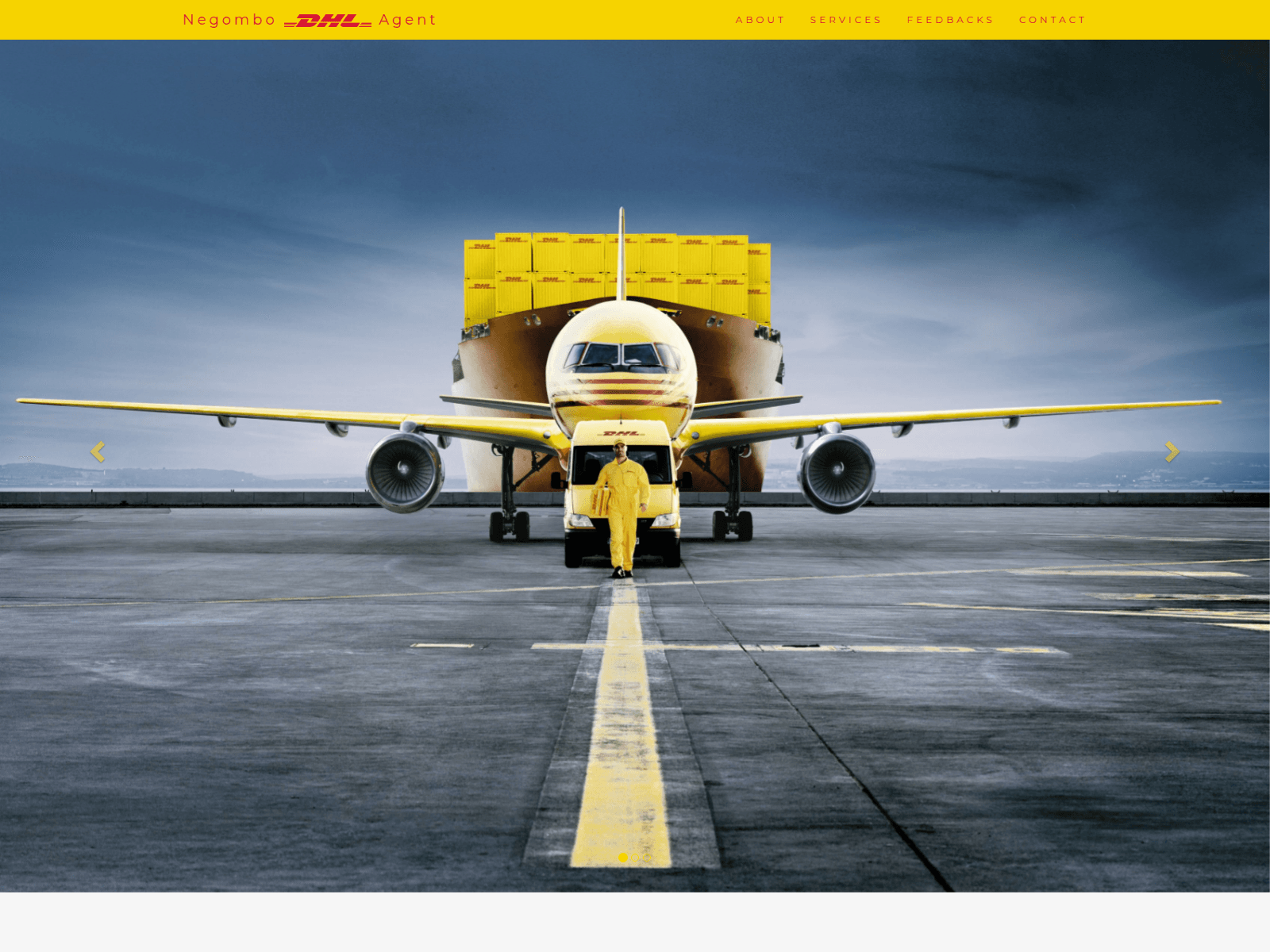 Screenshot of dhl-negombo.com