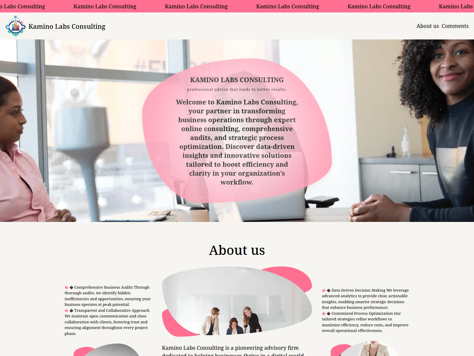 Screenshot of www.kamino-lab.com