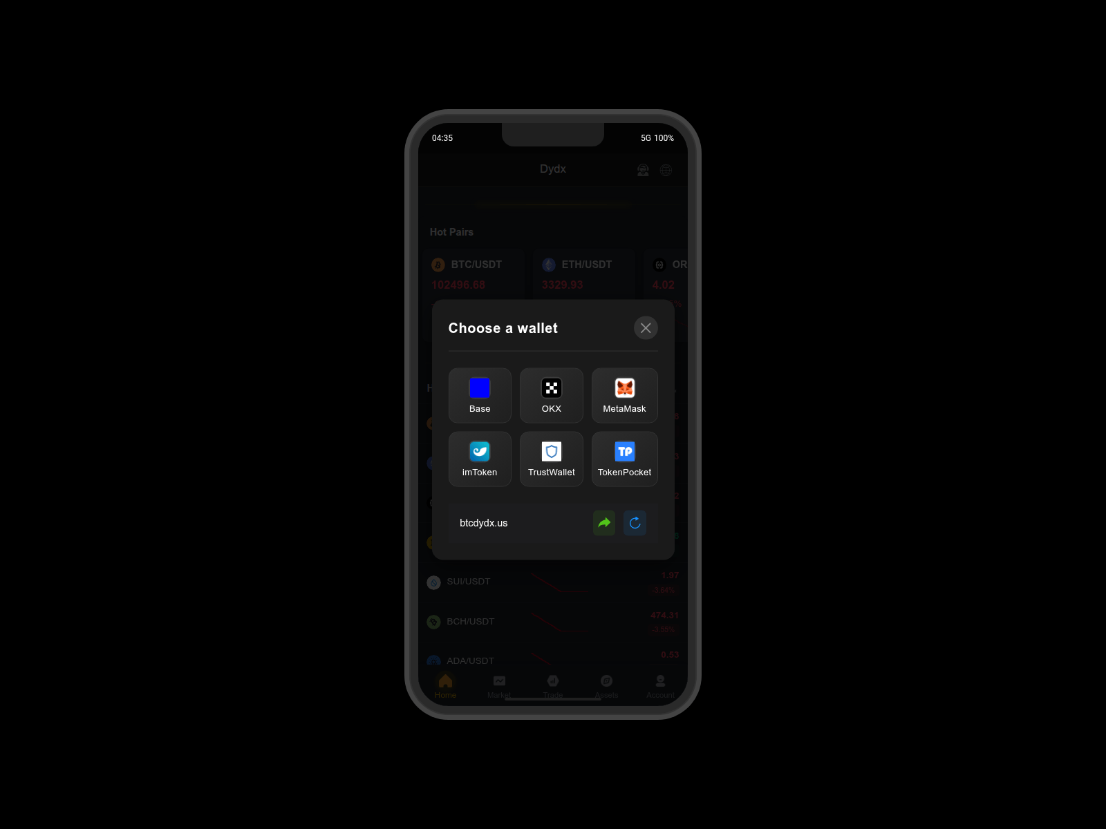 Screenshot of btcdydx.us