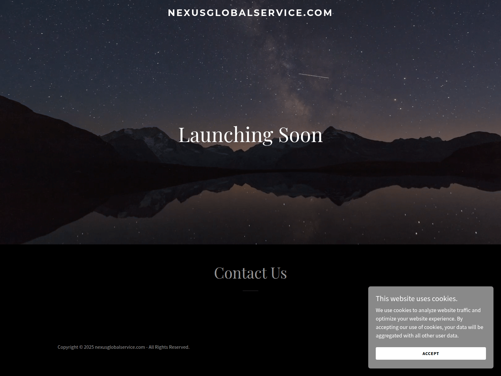 Screenshot of nexusglobalservice.com