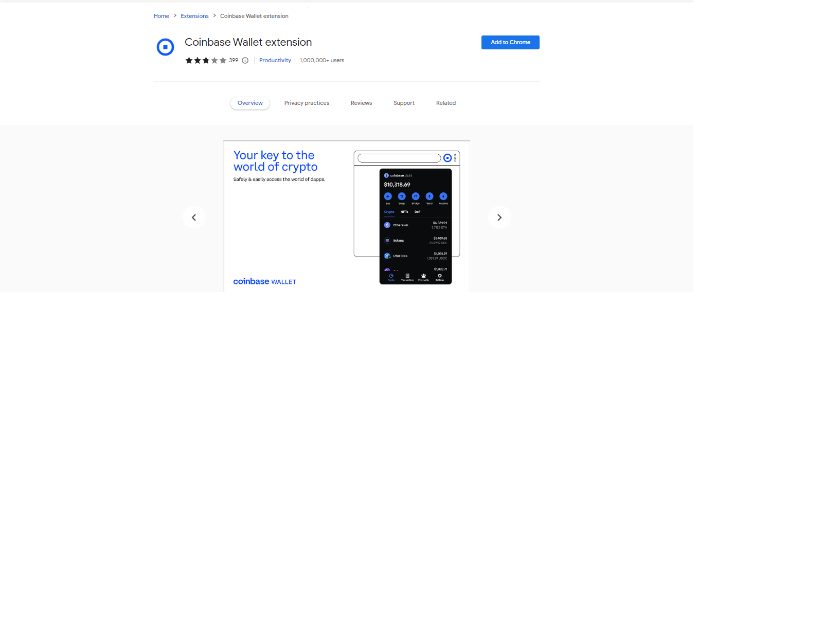 Screenshot of coibasseeionxtension.webflow.io
