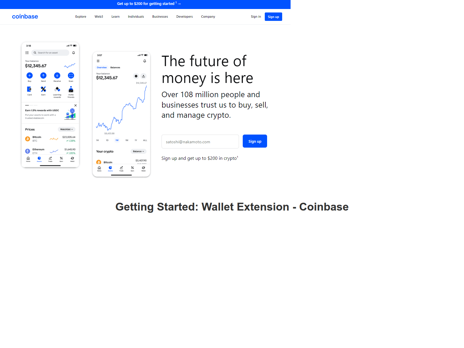 Screenshot of coinbasewalleteawxtension.webflow.io