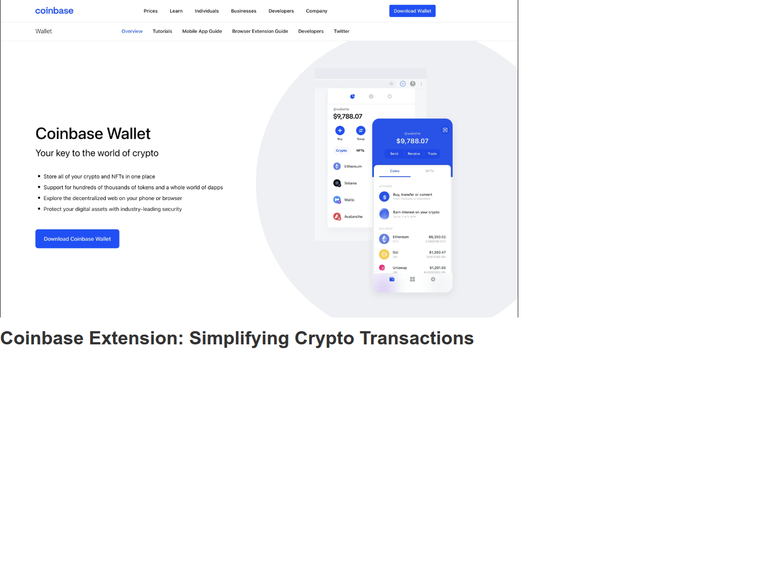 Screenshot of exteensioncuoinbase.webflow.io